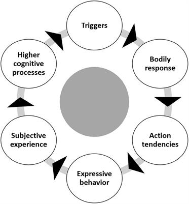 Toward a Theory of Emotions in Competitive Sports